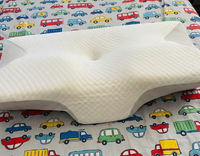 Better Than My Old Pillow